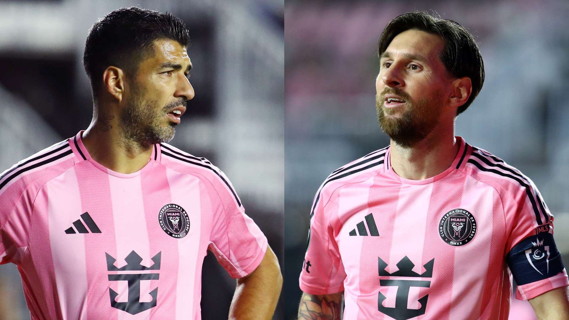 赛事无疑将 赛事无疑将